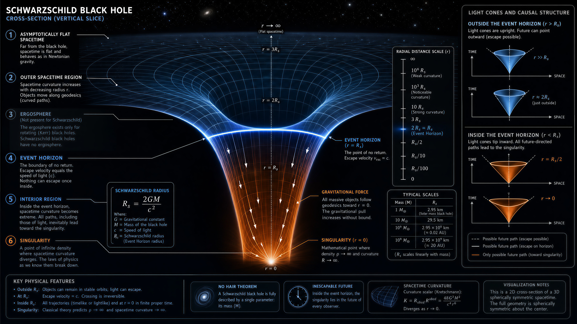 Schwarzschild black hole cross-section showing event horizon, photon sphere, singularity, and light cone structure